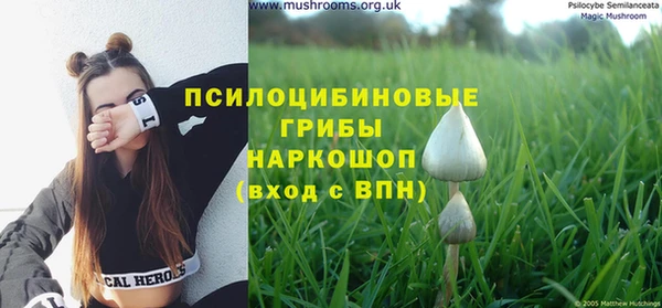 гашик Осташков