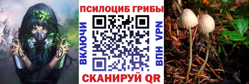 Псилоцибиновые грибы Psilocybe  Купить  Аша 